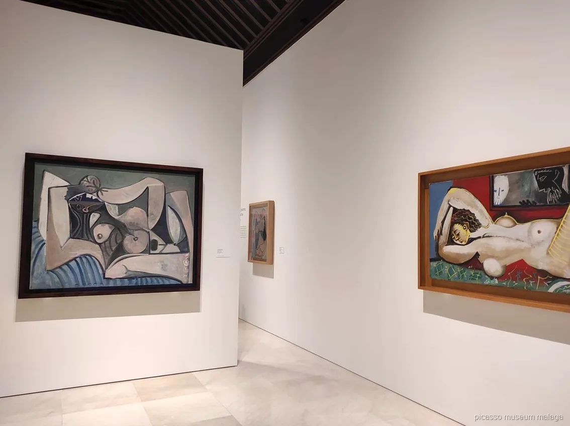 Guida che accompagna i visitatori tra il Museo Picasso e la casa natale nel tour combinato di Malaga